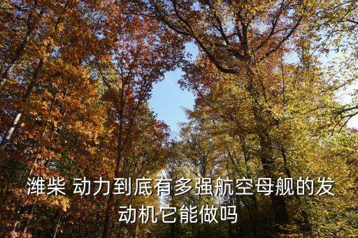  濰柴 動力到底有多強(qiáng)航空母艦的發(fā)動機(jī)它能做嗎
