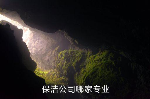  保潔公司哪家專(zhuān)業(yè)