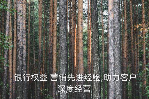  銀行權(quán)益 營(yíng)銷(xiāo)先進(jìn)經(jīng)驗(yàn),助力客戶(hù)深度經(jīng)營(yíng)
