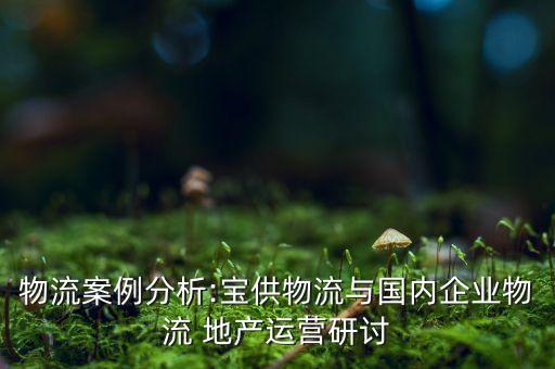 物流案例分析:寶供物流與國內企業(yè)物流 地產運營研討