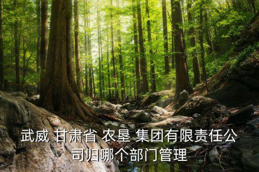武威 甘肅省 農(nóng)墾 集團(tuán)有限責(zé)任公司歸哪個(gè)部門(mén)管理