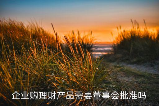 企業(yè)購理財(cái)產(chǎn)品需要董事會批準(zhǔn)嗎
