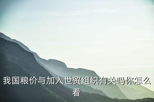 我國糧價與加入世貿(mào)組織有關嗎你怎么看