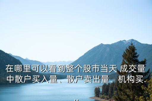 在哪里可以看到整個股市當天 成交量中散戶買入量、散戶賣出量、機構(gòu)買...