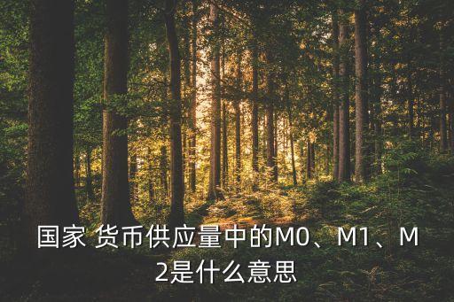 國家 貨幣供應(yīng)量中的M0、M1、M2是什么意思