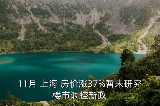 11月 上海 房價(jià)漲37%暫未研究樓市調(diào)控新政