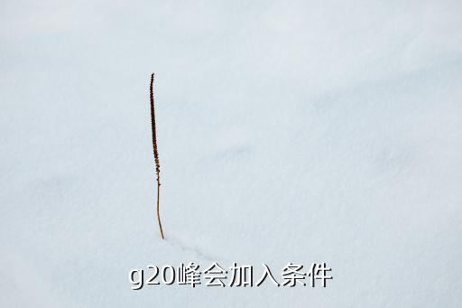二十國(guó)集團(tuán)智庫會(huì)議