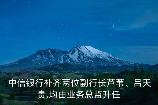  中信銀行補(bǔ)齊兩位副行長(zhǎng)蘆葦、呂天貴,均由業(yè)務(wù)總監(jiān)升任