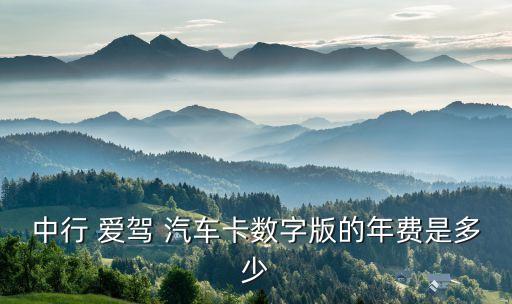 中國(guó)銀行愛(ài)駕汽車信用卡怎么樣