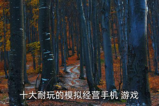 十大耐玩的模擬經(jīng)營手機(jī) 游戲