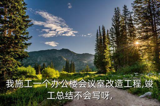 我施工一個(gè)辦公樓會(huì)議室改造工程,竣工總結(jié)不會(huì)寫(xiě)呀,