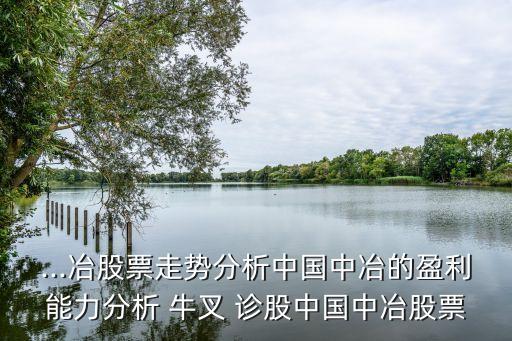 ...冶股票走勢(shì)分析中國中冶的盈利能力分析 牛叉 診股中國中冶股票
