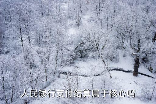 人民銀行支付結算屬于核心嗎