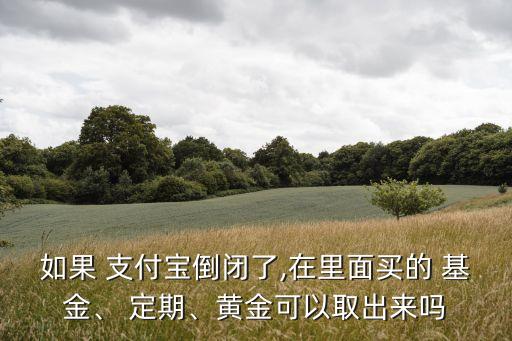 如果 支付寶倒閉了,在里面買的 基金、 定期、黃金可以取出來嗎