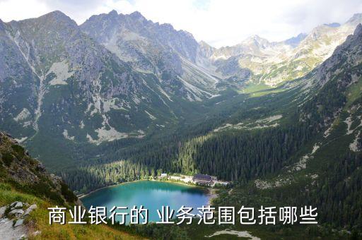  商業(yè)銀行的 業(yè)務范圍包括哪些