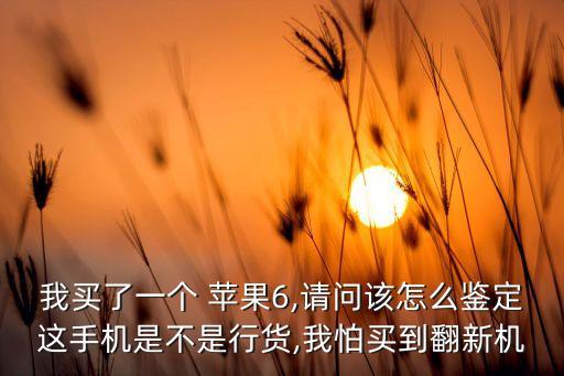 我買了一個(gè) 蘋果6,請(qǐng)問該怎么鑒定這手機(jī)是不是行貨,我怕買到翻新機(jī)