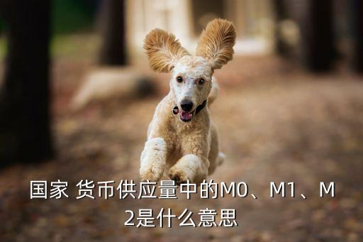國家 貨幣供應量中的M0、M1、M2是什么意思