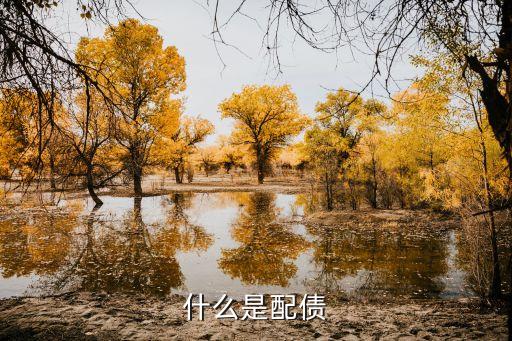 可轉(zhuǎn)換公司債券方案,關于可轉(zhuǎn)換公司債券的說法,不正確的是