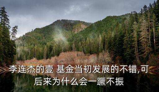 李連杰的壹 基金當(dāng)初發(fā)展的不錯(cuò),可后來為什么會一蹶不振