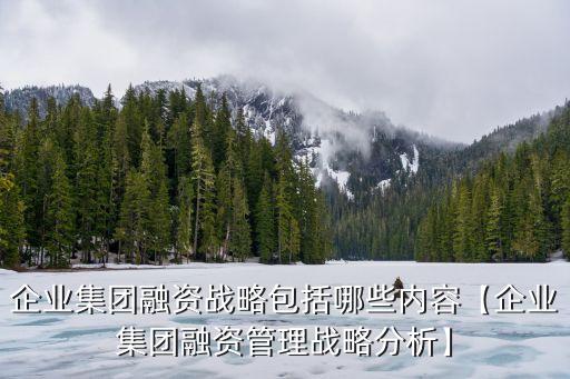 企業(yè)集團融資戰(zhàn)略包括哪些內容【企業(yè)集團融資管理戰(zhàn)略分析】