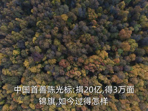 中國首善陳光標:捐20億,得3萬面錦旗,如今過得怎樣