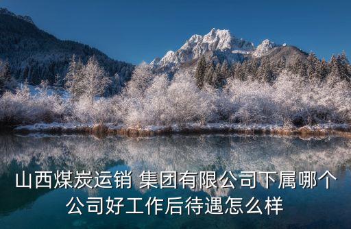焦炭集團(tuán)榮海濤簡歷