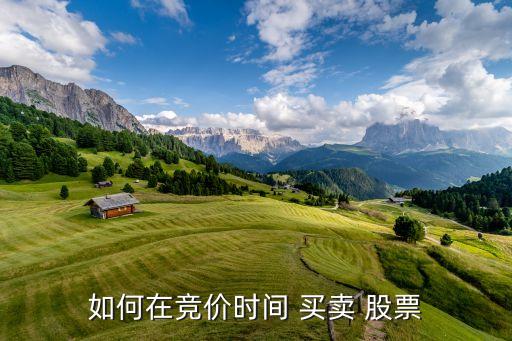 如何在競(jìng)價(jià)時(shí)間 買(mǎi)賣(mài) 股票