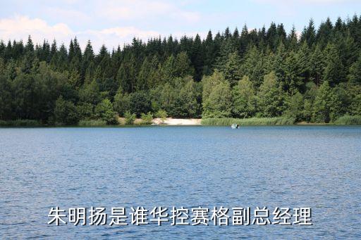 朱明揚(yáng)是誰(shuí)華控賽格副總經(jīng)理