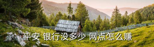 平安銀行網(wǎng)點(diǎn)數(shù),天津平安銀行網(wǎng)點(diǎn)地址查詢(xún)