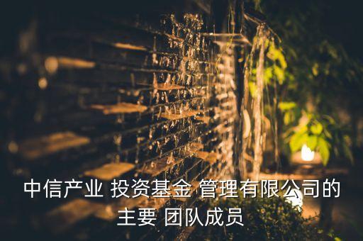 中信產業(yè) 投資基金 管理有限公司的主要 團隊成員