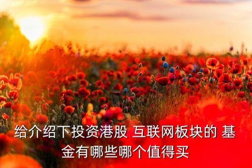 給介紹下投資港股 互聯(lián)網(wǎng)板塊的 基金有哪些哪個(gè)值得買(mǎi)