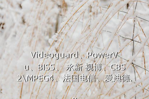 Videoguard、PowerVu、BISS、 永新 視博、CBS2\MPEG4、法國電信、愛迪德...