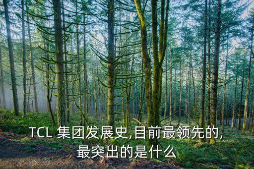 TCL 集團發(fā)展史,目前最領先的,最突出的是什么