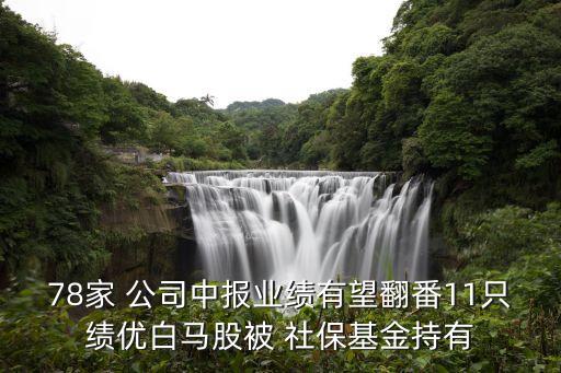 78家 公司中報業(yè)績有望翻番11只績優(yōu)白馬股被 社?；鸪钟? class=