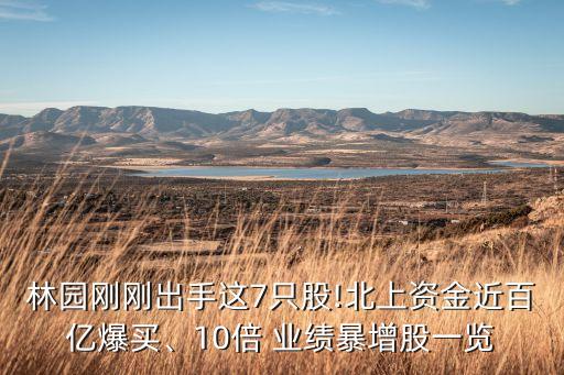 林園剛剛出手這7只股!北上資金近百億爆買、10倍 業(yè)績暴增股一覽