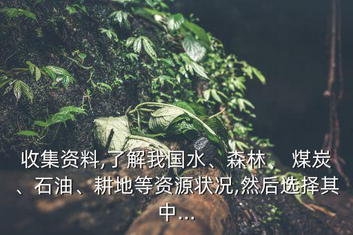 收集資料,了解我國水、森林、 煤炭、石油、耕地等資源狀況,然后選擇其中...