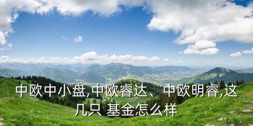中歐中小盤,中歐睿達、中歐明睿,這幾只 基金怎么樣