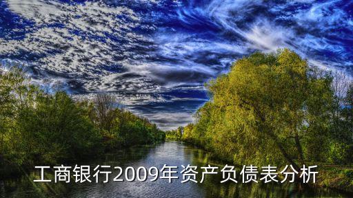 工商銀行2009年資產負債表分析
