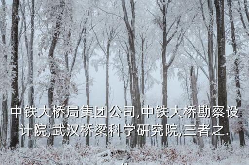 中鐵大橋局集團公司,中鐵大橋勘察設(shè)計院,武漢橋梁科學研究院,三者之...