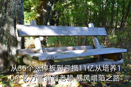 從36個漲停板到虧損11億從培養(yǎng)10個億萬富翁到老賴 暴風塌陷之路