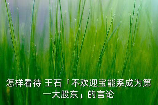 王石在 2014亞布力中國(guó)企業(yè)家論