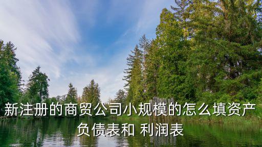 新注冊的商貿公司小規(guī)模的怎么填資產負債表和 利潤表