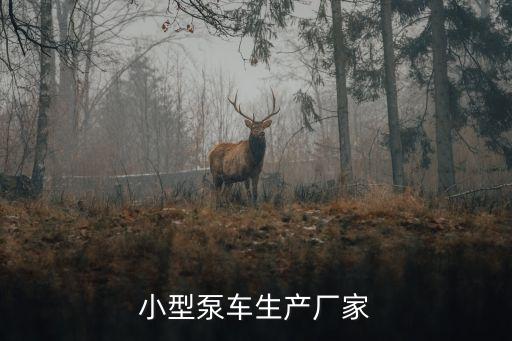 小型泵車(chē)生產(chǎn)廠(chǎng)家