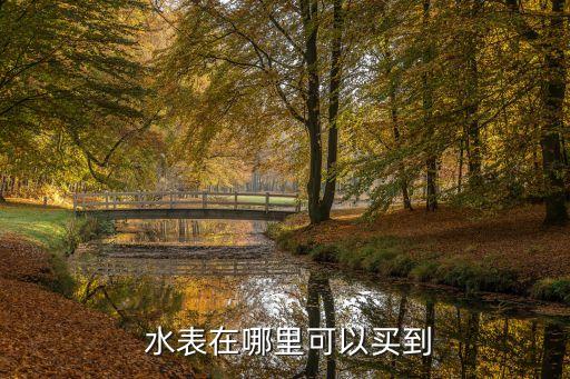 新天科技有限公司水表怎么買(mǎi)水,泰安市晨暉電子科技有限公司水表
