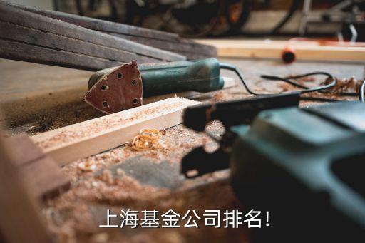 上海嘉上投資,上?；煦缤顿Y