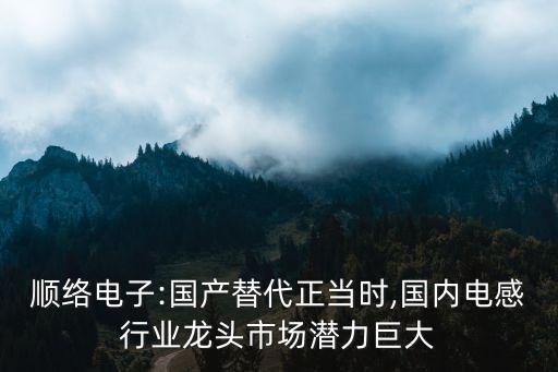 順絡電子:國產(chǎn)替代正當時,國內電感行業(yè)龍頭市場潛力巨大