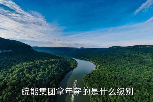  皖能集團(tuán)拿年薪的是什么級(jí)別