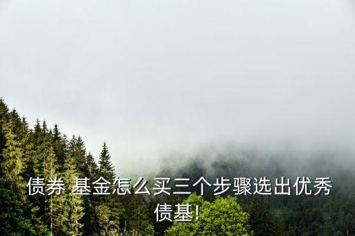  債券 基金怎么買(mǎi)三個(gè)步驟選出優(yōu)秀債基!