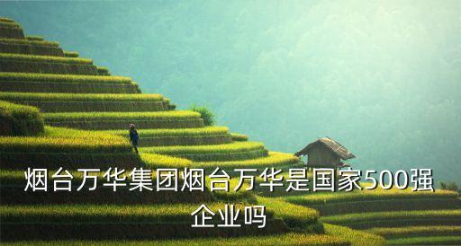 煙臺(tái)萬華集團(tuán)煙臺(tái)萬華是國(guó)家500強(qiáng)企業(yè)嗎