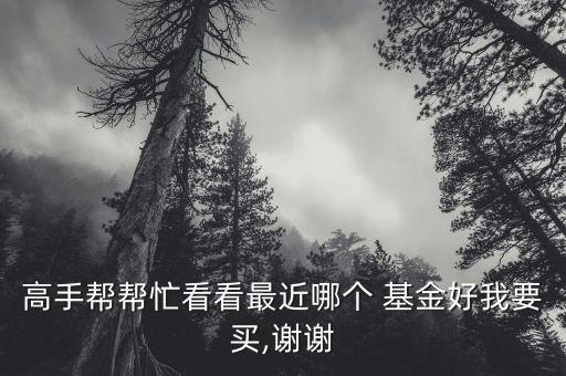 高手幫幫忙看看最近哪個(gè) 基金好我要買(mǎi),謝謝